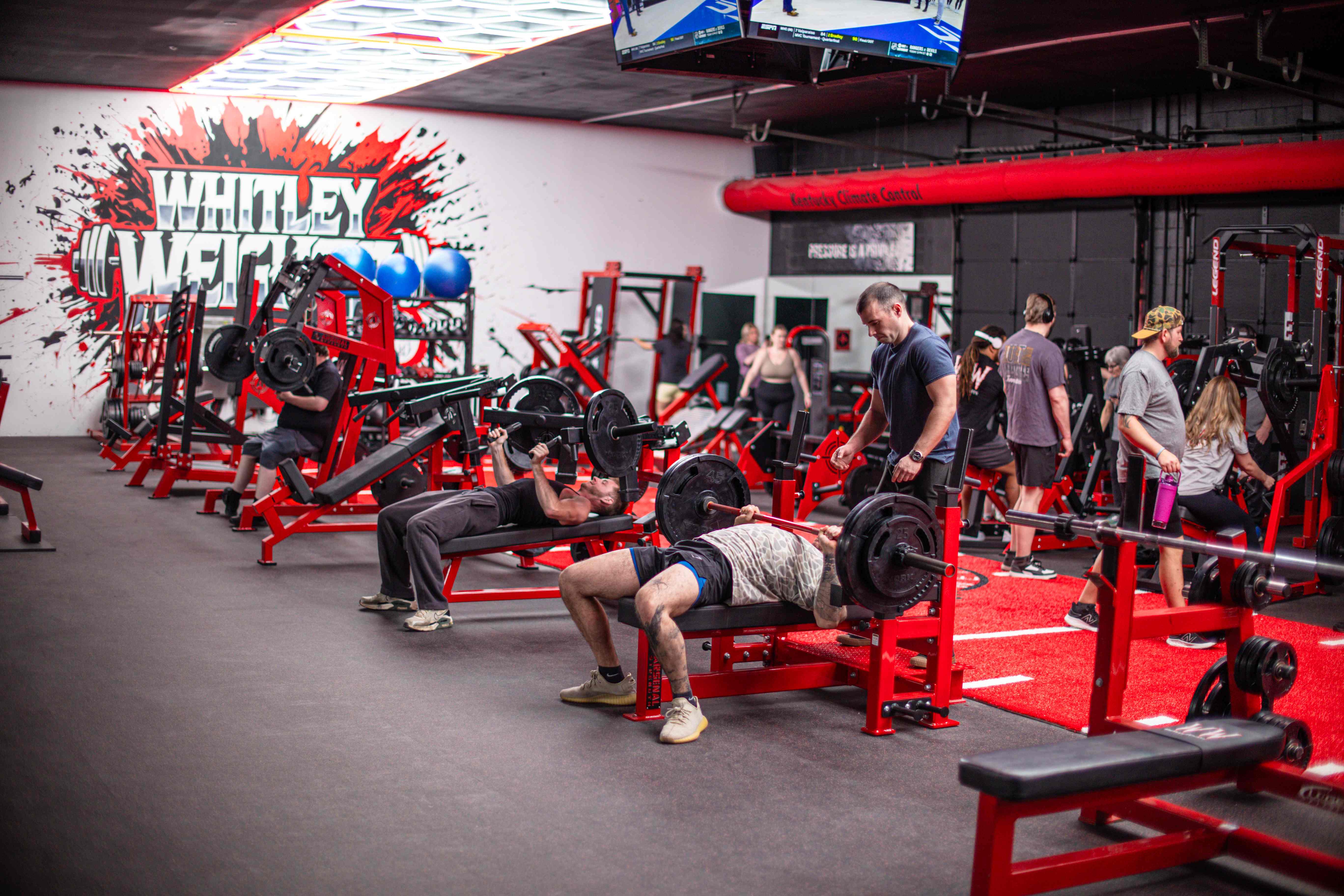 Members benching on the main floor beneath the Whitley Weights mural